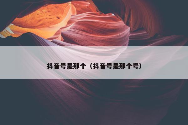 抖音号是那个（抖音号是那个号）