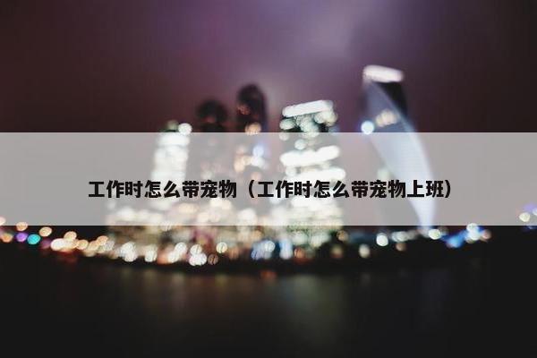 工作时怎么带宠物（工作时怎么带宠物上班）