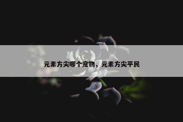 元素方尖哪个宠物，元素方尖平民