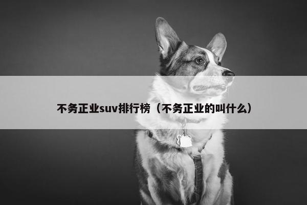 不务正业suv排行榜（不务正业的叫什么）