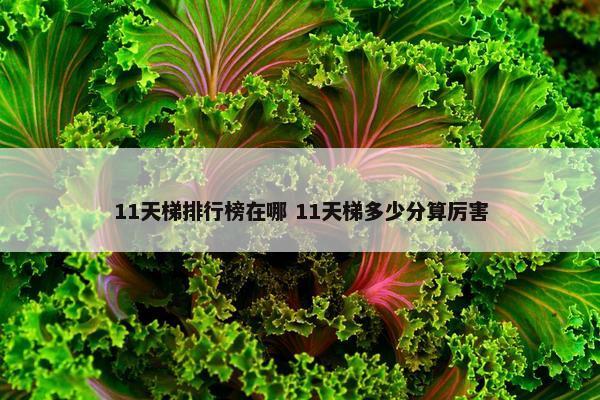 11天梯排行榜在哪 11天梯多少分算厉害