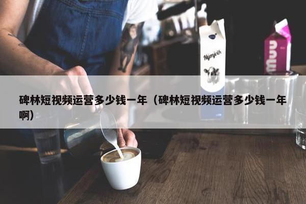 碑林短视频运营多少钱一年（碑林短视频运营多少钱一年啊）