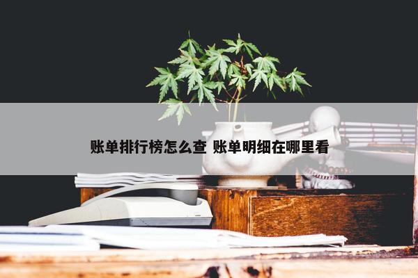 账单排行榜怎么查 账单明细在哪里看