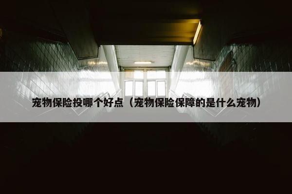 宠物保险投哪个好点（宠物保险保障的是什么宠物）