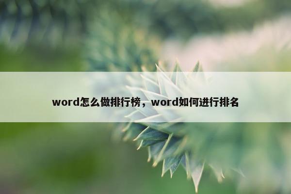 word怎么做排行榜，word如何进行排名