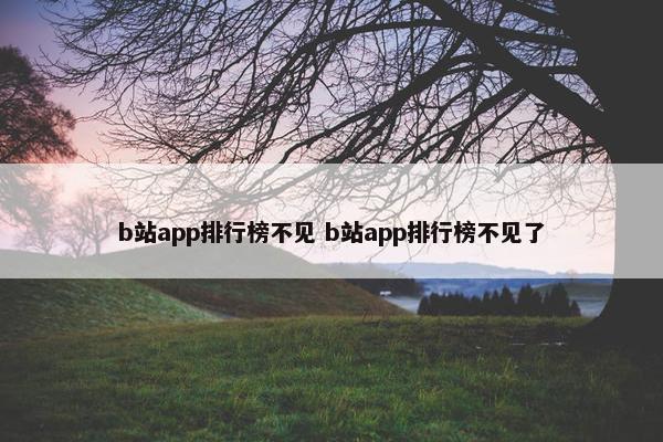 b站app排行榜不见 b站app排行榜不见了