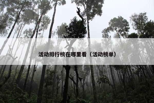 活动排行榜在哪里看（活动榜单）