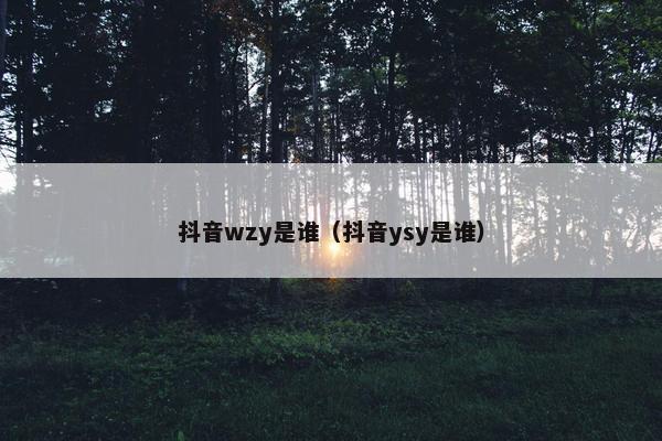 抖音wzy是谁（抖音ysy是谁）