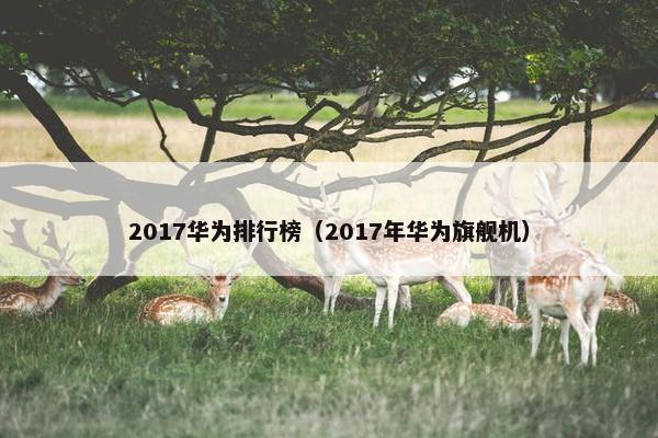 2017华为排行榜（2017年华为旗舰机）