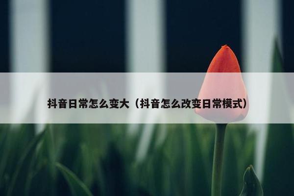 抖音日常怎么变大（抖音怎么改变日常模式）