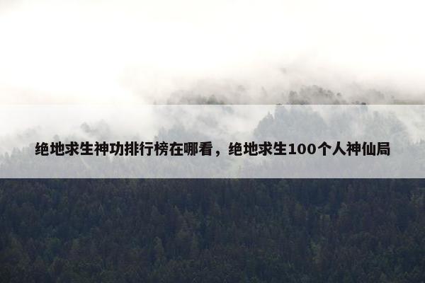 绝地求生神功排行榜在哪看，绝地求生100个人神仙局