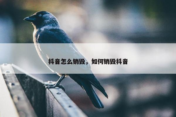 抖音怎么销毁，如何销毁抖音