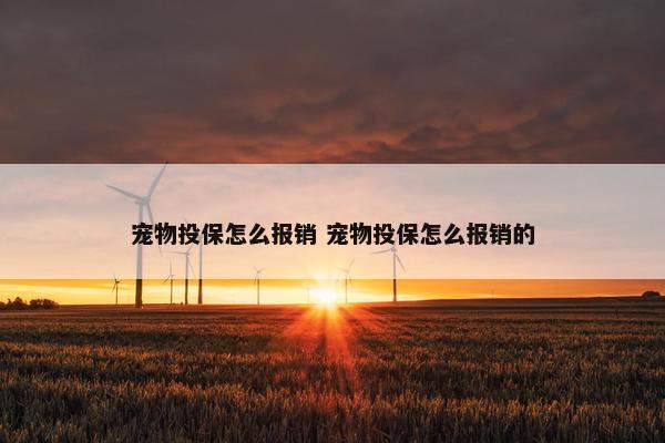 宠物投保怎么报销 宠物投保怎么报销的