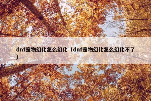 dnf宠物幻化怎么幻化（dnf宠物幻化怎么幻化不了）