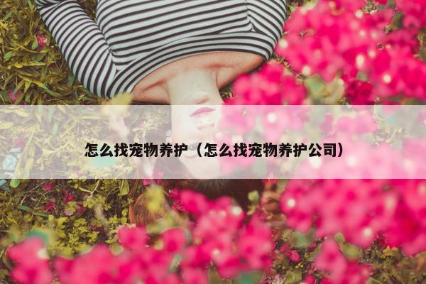 怎么找宠物养护（怎么找宠物养护公司）