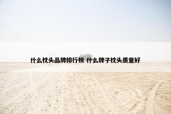 什么枕头品牌排行榜 什么牌子枕头质量好