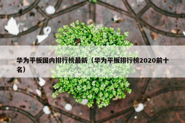 华为平板国内排行榜最新（华为平板排行榜2020前十名）