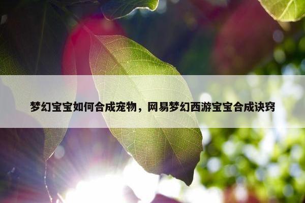 梦幻宝宝如何合成宠物，网易梦幻西游宝宝合成诀窍