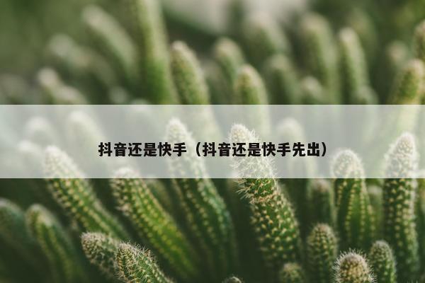 抖音还是快手（抖音还是快手先出）