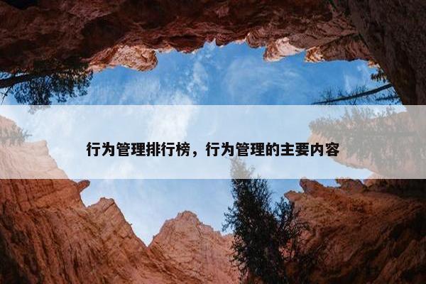 行为管理排行榜，行为管理的主要内容