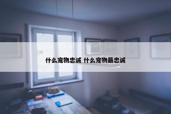 什么宠物忠诚 什么宠物最忠诚