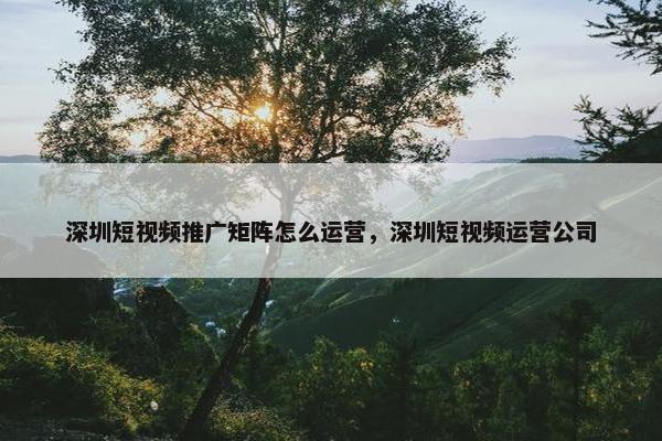 深圳短视频推广矩阵怎么运营，深圳短视频运营公司