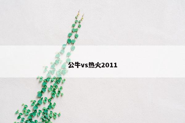 公牛vs热火2011