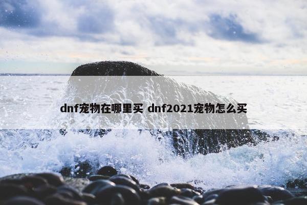 dnf宠物在哪里买 dnf2021宠物怎么买