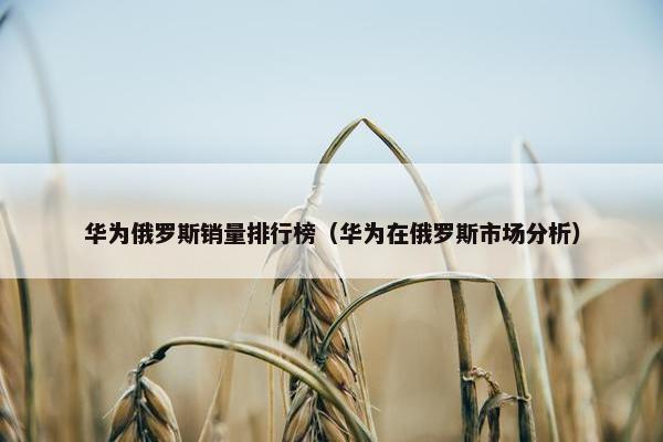 华为俄罗斯销量排行榜（华为在俄罗斯市场分析）