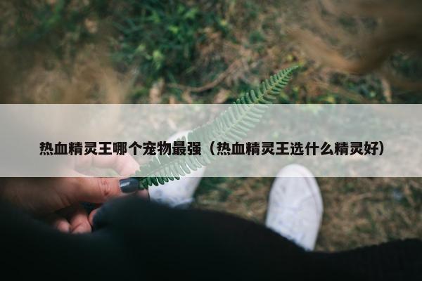 热血精灵王哪个宠物最强（热血精灵王选什么精灵好）