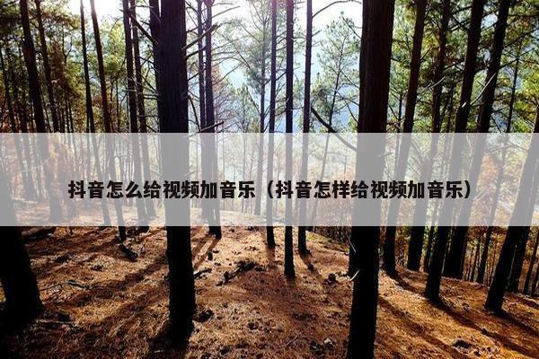 抖音怎么给视频加音乐（抖音怎样给视频加音乐）