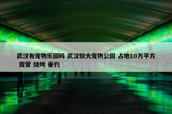 武汉有宠物乐园吗 武汉较大宠物公园 占地10万平方 露营 烧烤 垂钓