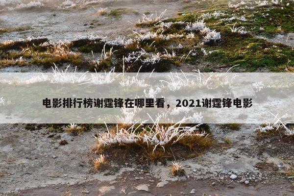 电影排行榜谢霆锋在哪里看，2021谢霆锋电影