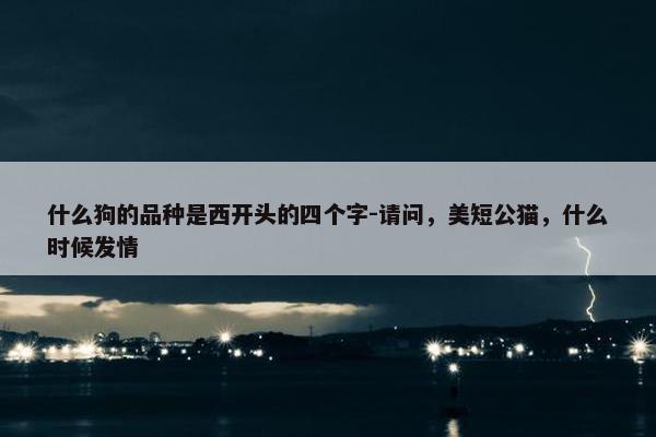 什么狗的品种是西开头的四个字-请问，美短公猫，什么时候发情