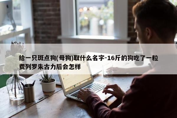 给一只斑点狗(母狗)取什么名字-16斤的狗吃了一粒费列罗朱古力后会怎样