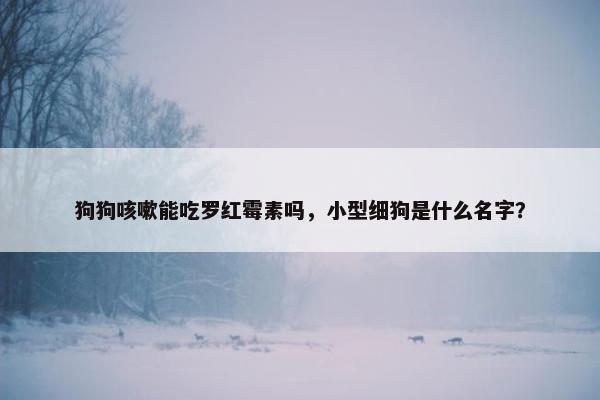 狗狗咳嗽能吃罗红霉素吗，小型细狗是什么名字？