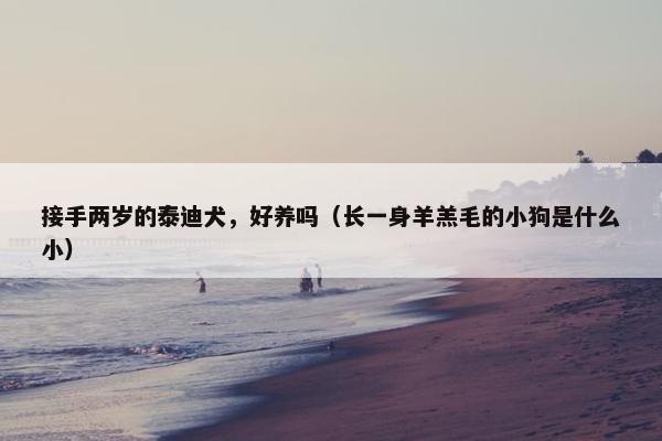 接手两岁的泰迪犬，好养吗（长一身羊羔毛的小狗是什么小）