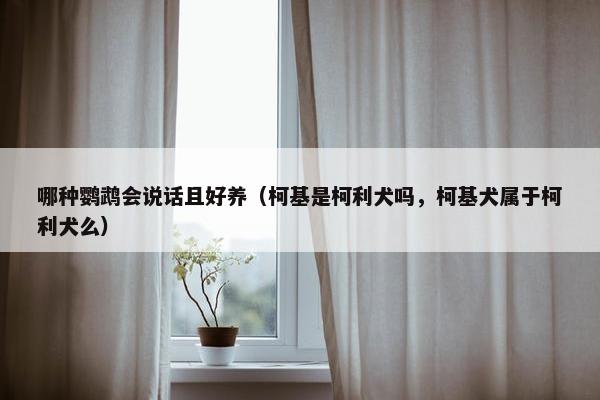 哪种鹦鹉会说话且好养（柯基是柯利犬吗，柯基犬属于柯利犬么）