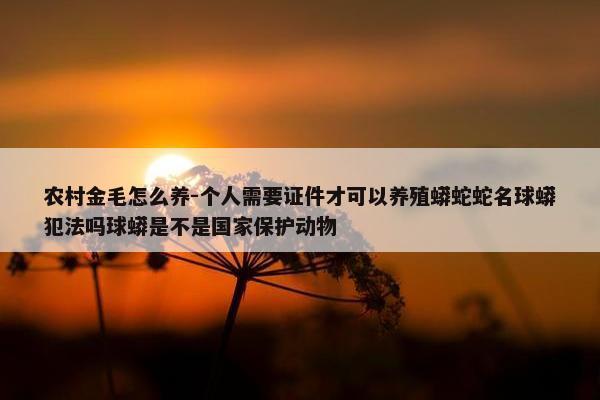 农村金毛怎么养-个人需要证件才可以养殖蟒蛇蛇名球蟒犯法吗球蟒是不是国家保护动物