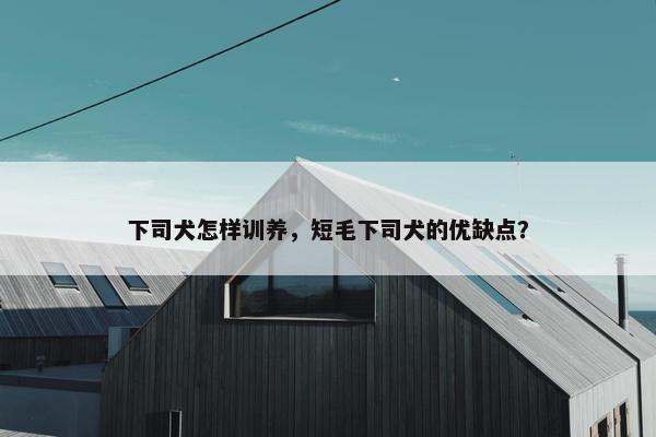 下司犬怎样训养，短毛下司犬的优缺点？