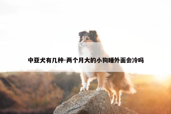 中亚犬有几种-两个月大的小狗睡外面会冷吗