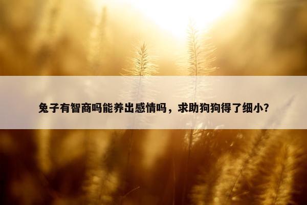 兔子有智商吗能养出感情吗，求助狗狗得了细小？