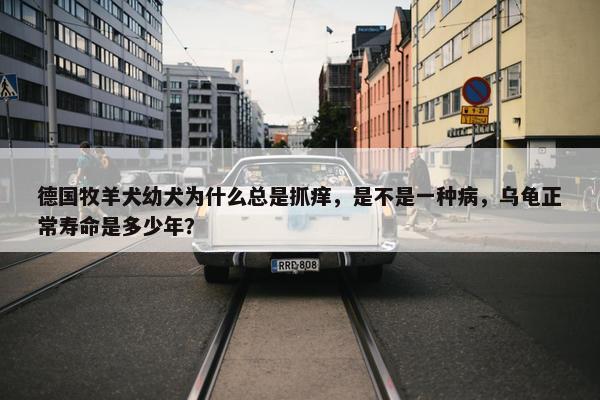 德国牧羊犬幼犬为什么总是抓痒，是不是一种病，乌龟正常寿命是多少年？