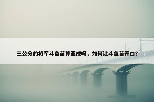 三公分的将军斗鱼苗算亚成吗，如何让斗鱼苗开口？