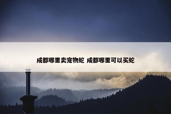 成都哪里卖宠物蛇 成都哪里可以买蛇