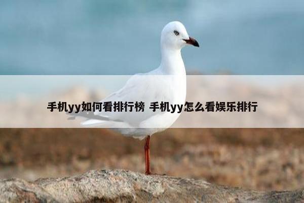 手机yy如何看排行榜 手机yy怎么看娱乐排行