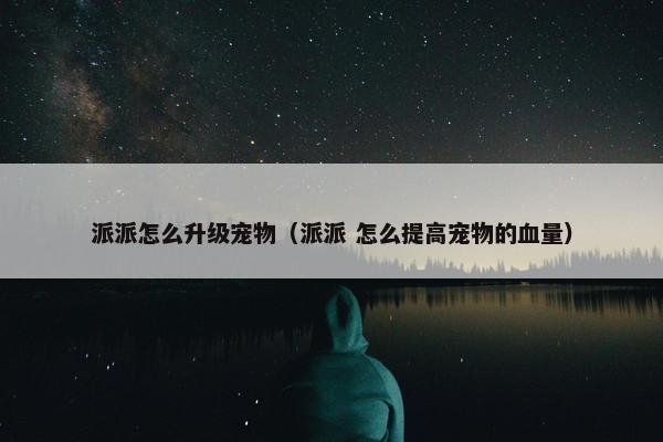 派派怎么升级宠物（派派 怎么提高宠物的血量）