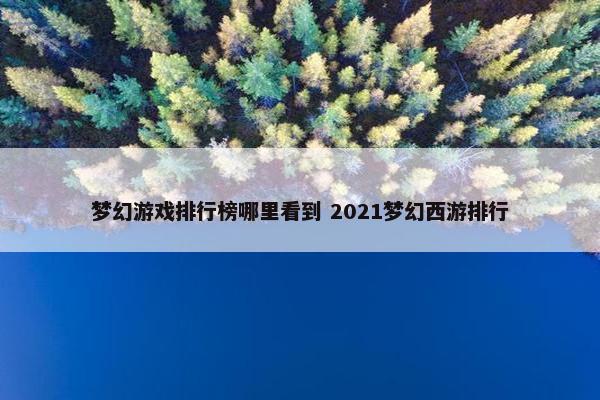 梦幻游戏排行榜哪里看到 2021梦幻西游排行