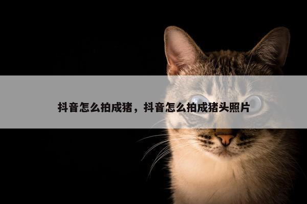 抖音怎么拍成猪，抖音怎么拍成猪头照片