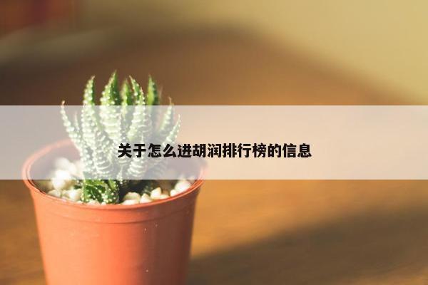 关于怎么进胡润排行榜的信息